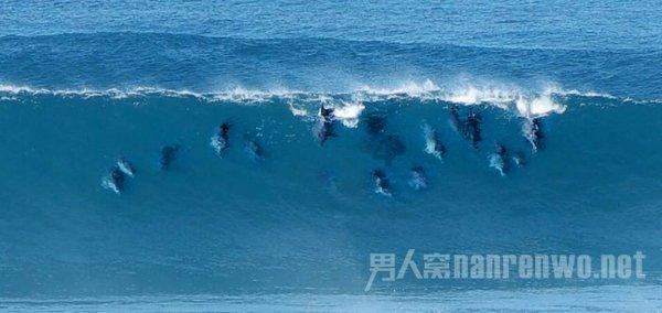 贪官商务车内藏现金,6个大号行李箱装1009万,办案人员直接拉银行柜台清点