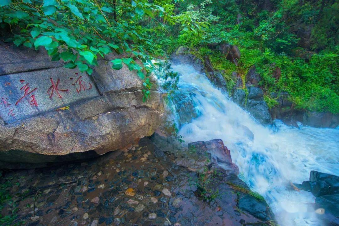 逃离橡子树种植地